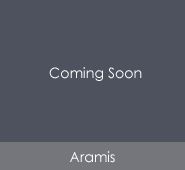 Aramis Stainless Steel Bollard
